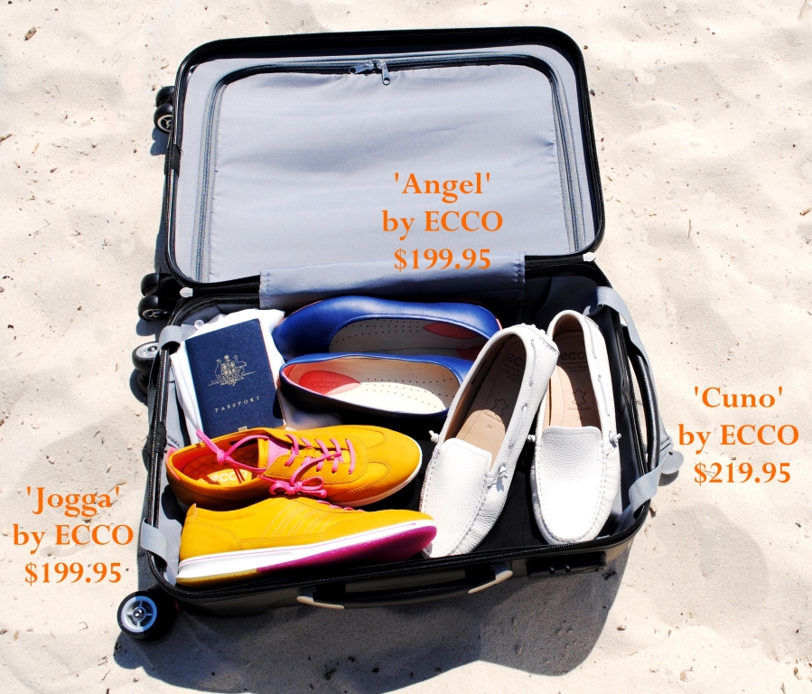 ECCO shoes and suitcase