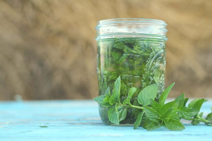 home made peppermint extract