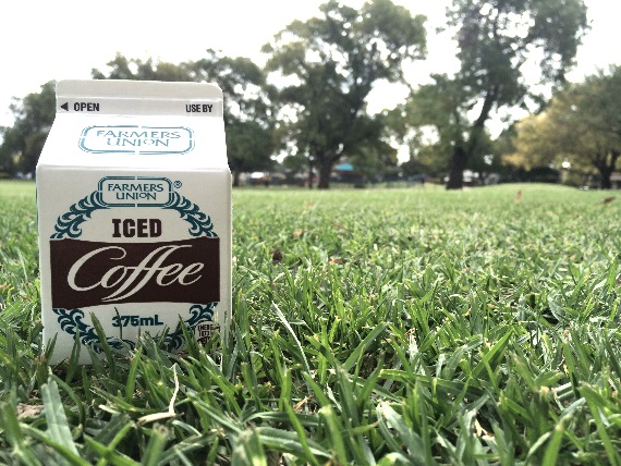 Farmers Union Iced Coffee Fox in Flats