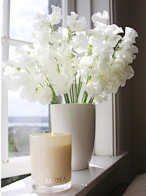 Ecoya sweet pea and jasmine