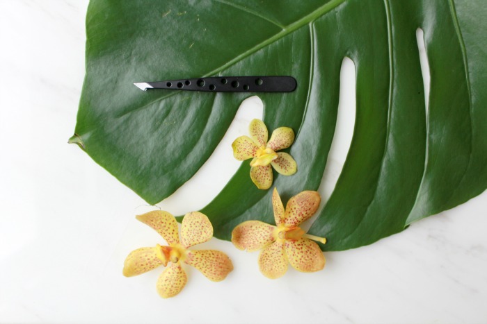 TIP stash a spare pair of tweezers in the car to remove for those nasty ‘magic’ hairs.